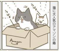 【漫画】箱に入りたいのに！猫がガッカリしたこと【うちの猫がまた変なことしてる。Vol.35】