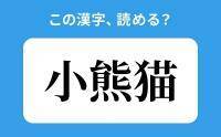 【読めそうで読めない】「小熊猫」の正しい読み方は？「こぐまねこ」は間違い？