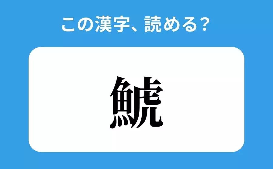 読めそうで読めない 鯱 の正しい読み方は とらうお は間違い ローリエプレス 読めそうで読めない 鯱 の正しい読み方は とらうお は間違い ローリエプレス