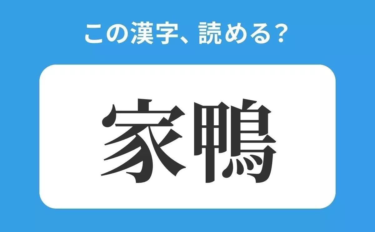 読めそうで読めない 家鴨 の正しい読み方は かがも は間違い ローリエプレス