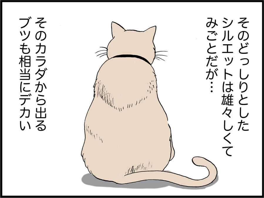 【猫からエロスを学ぶ】「お世話したい」は大好きの証　あなたはお世話する方、される方？の4枚目の画像