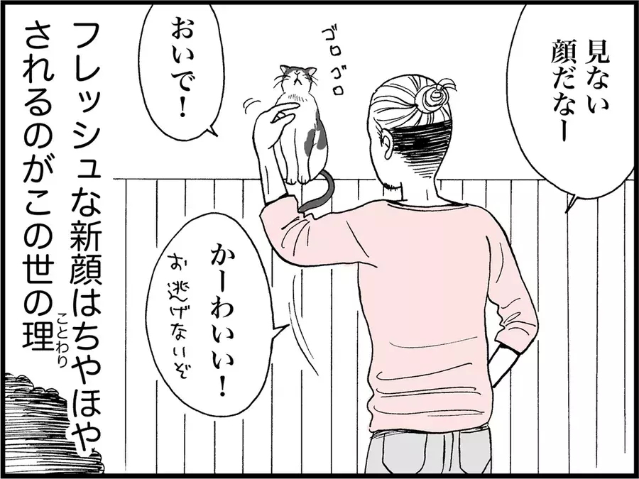 可愛く嫉妬できる女子は恋愛上手 嫌われないやきもちの焼き方 猫からエロスを学ぶ ローリエプレス