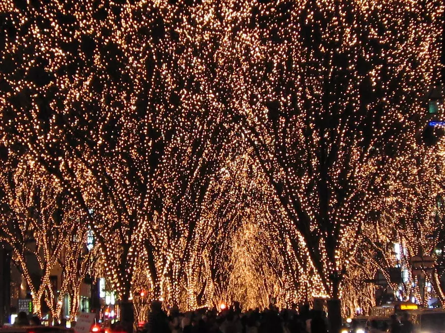 彼の星座別おすすめクリスマスプレゼント 男性がもらってうれしいモノ 過ごし方 ローリエプレス 彼の星座別おすすめクリスマスプレゼント 男性がもらってうれしいモノ 過ごし方 ローリエプレス