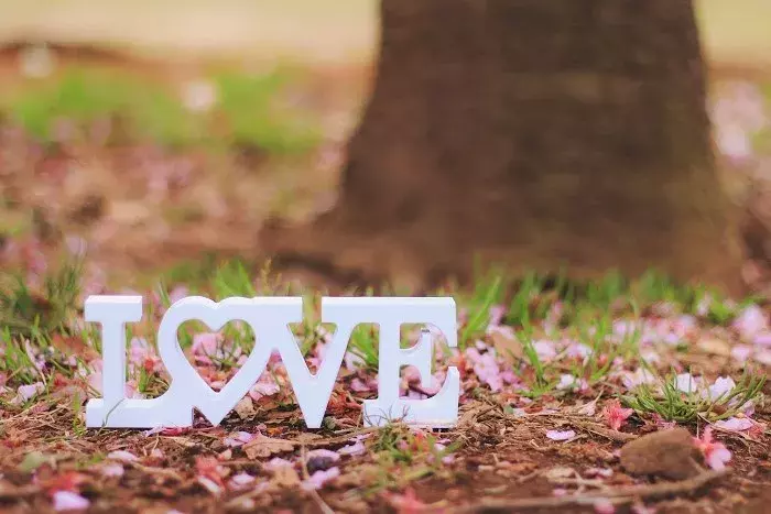 絶対okされる告白マル秘テクニック 根拠のない自信が告白成功の鍵 ローリエプレス