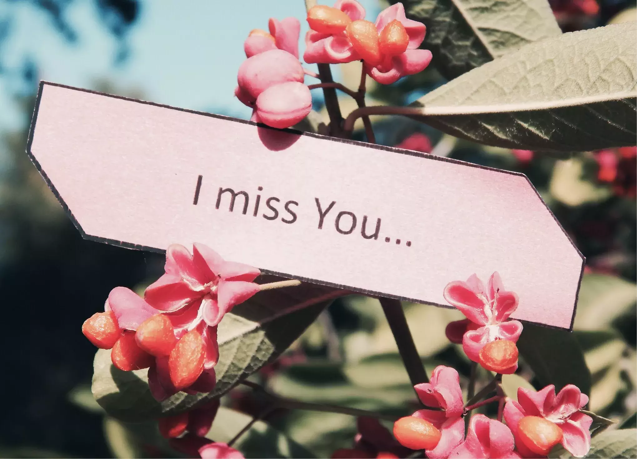 彼氏から愛されてるかが不安 彼女の優先順位が低い彼氏は何を考えてる?(会員限定) ローリエプレス 彼氏から愛されてるかが不安 彼女の優先順位が低い彼氏は何を考えてる?(会員限定) ローリエプレス