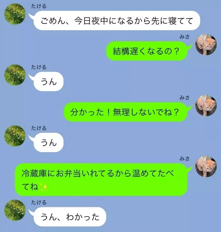 もうすぐ記念日なのに 続くすれ違い Line事件簿 184 疑われた彼の行動 5 ローリエプレス