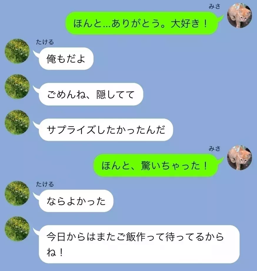 結婚記念日当日 待ち受けていた真実とは Line事件簿 186 疑われた彼の行動 7 ローリエプレス