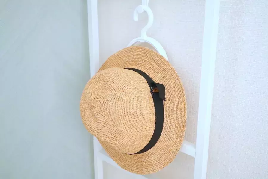 100均 キャンドゥ の帽子ハンガーが便利 帽子収納アイデアも紹介 ローリエプレス
