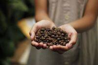 コーヒー豆の産地別の特徴とは？味の違いを知ってお気に入りを見つけよう