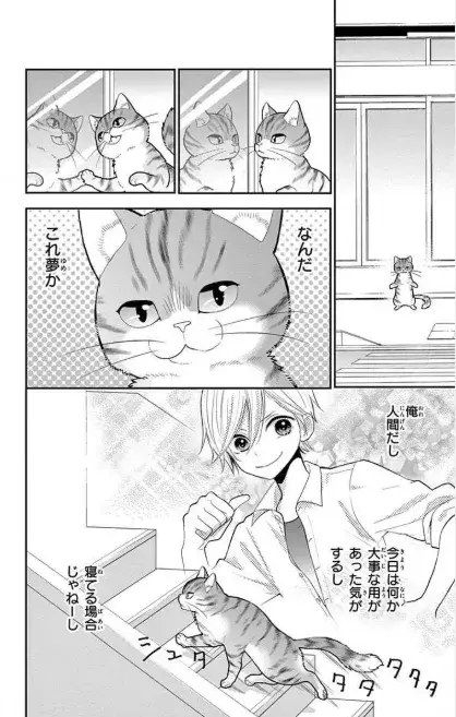 今日の このマンガ読んでみて マンガタイトル ねこ はじめました ローリエプレス