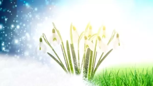 自分に自信をなくした時の名言 前向きになれる癒しの言葉 ローリエプレス