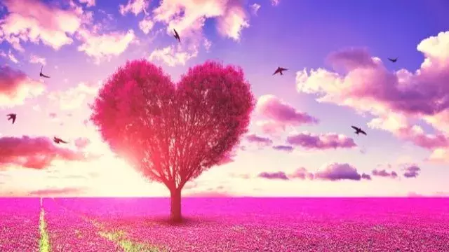 浮気封じ の強力な風水テクニックとは 観葉植物 置物 部屋作り ローリエプレス 浮気封じ の強力な風水テクニックとは 観葉植物 置物 部屋作り ローリエプレス