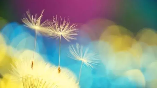 気が進まない時は何かのメッセージ 3つのスピリチュアルサインとは ローリエプレス