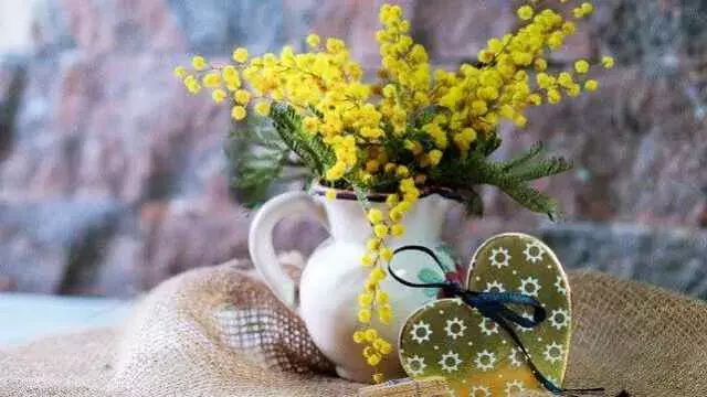 花言葉 ミモザ 風水で運気アップ 誕生花とスピリチュアルな伝説について ローリエプレス