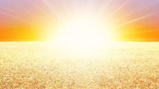 夢占い 金にまつわる最大吉夢18選 富や成功縁起が良いものは ローリエプレス 夢占い 金にまつわる最大吉夢18選 富や成功縁起が良いものは ローリエプレス