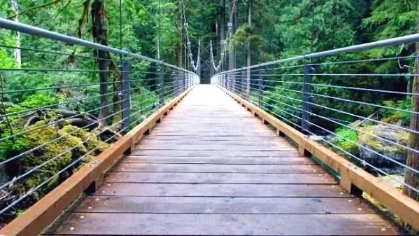 夢占い 渡るのは人生の転機 渡る場所によって運気がわかる夢10選 ローリエプレス