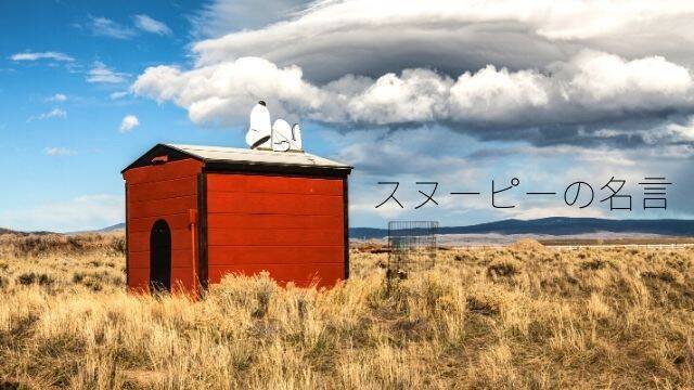 スヌーピー のほっこりする人生の名言集 生きるヒントの言葉 ローリエプレス スヌーピー のほっこりする人生の名言集 生きるヒントの言葉 ローリエプレス