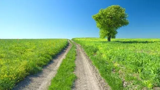 夢占い 自分を見失う暗示の夢選 人の意見に流されやすい時期 ローリエプレス