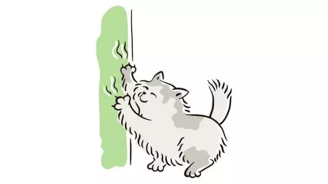 夢占い 心や体の傷についての夢 過去のトラウマや不安の暗示13選 ローリエプレス