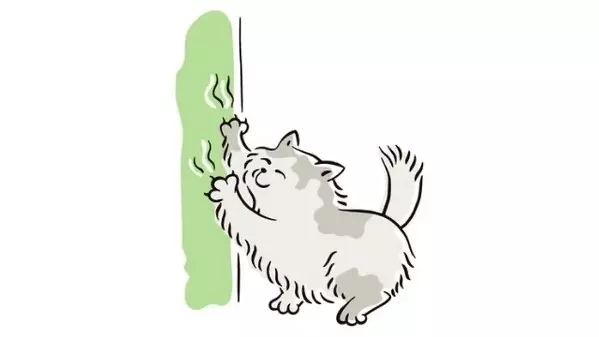 夢占い 心や体の傷についての夢 過去のトラウマや不安の暗示13選 ローリエプレス