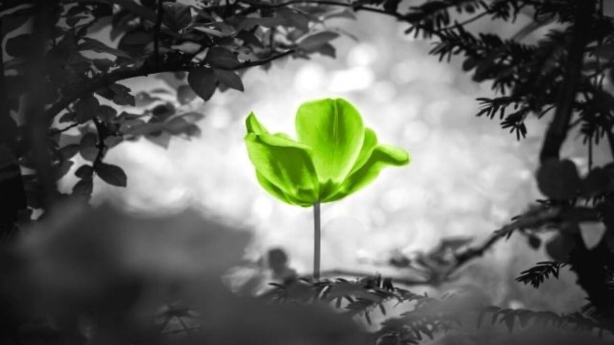 仕事の悩みやストレス が辛い時に読みたい名言集 心の一休み ローリエプレス