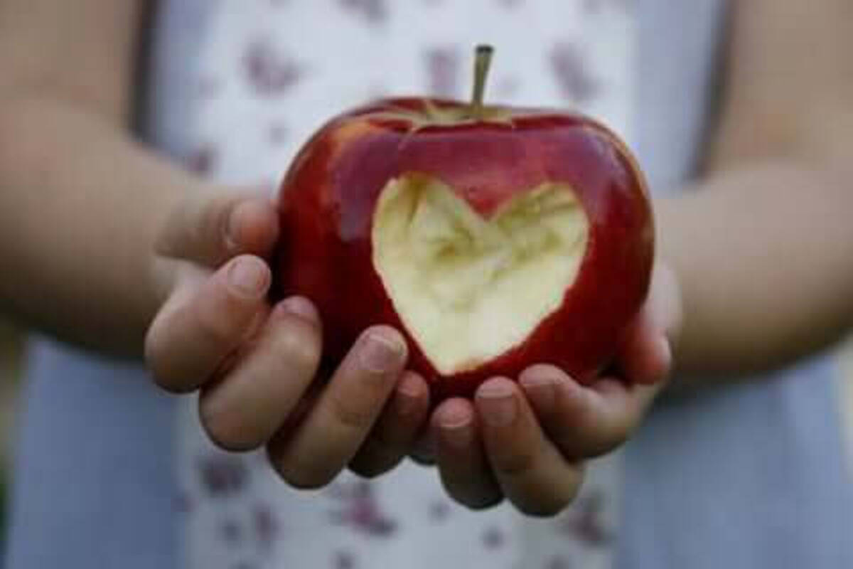 兄弟 姉妹構成でわかる バレンタインデー攻略法をご紹介 ローリエプレス