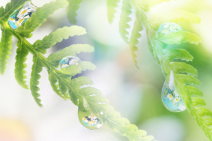 女歴30数年、揺れる心とカラダ そろそろ5月に凹まない人生へ