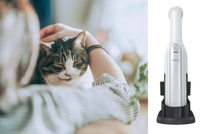 いぬねこ うちのこ。