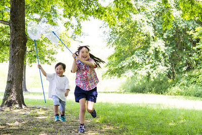 夏休みの自由研究・宿題サポート2017