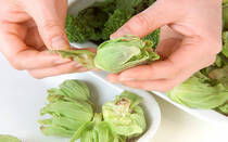 雪の中でも芽吹き山菜の中で一番早く食べられるフキノトウ。ほろ苦さが醍醐味。ミネラルや食物繊維、カリウムやリン、鉄分が豊富。季節の変わり目の体調を整える効果が期待できます。