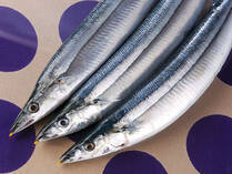 この時期のサンマは脂が乗って美味しいだけでなく、DHAやビタミンB2など栄養が豊富。魚の調理が苦手な人は、お店の人におろしてもらうのがおススメ。グンとラクになりますよ。今しかない秋の恵みを堪能しましょう♪