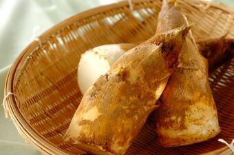 基本の調理からアレンジまで、旬を味わう「タケノコ」レシピ