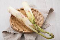 春の訪れを「うど」の料理で楽しみませんか？定番の酢味噌和えやきんぴらのほか、ウドを生で楽しむサラダ・和えもの、ウドを加熱しておいしい炒めものもやグラタンなどをご紹介します。