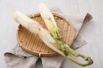 春の味覚【うど】を味わう人気レシピまとめ