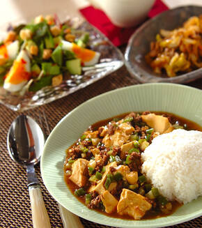 ひき肉と豆腐のヘルシーカレーの献立