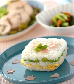 ヨーグルト風味の押し寿司