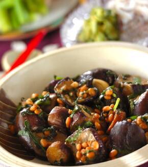 ナスのみそ納豆炒めの献立