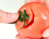 トマト味煮こみの作り方1