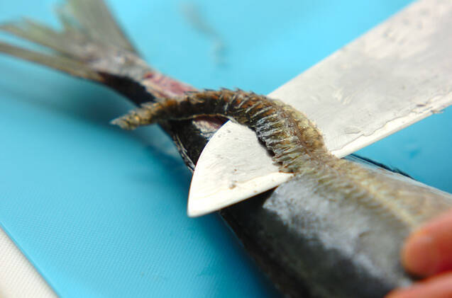 アジの梅煮の作り方の手順1