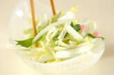 白菜と大葉のサラダの作り方1