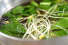 小松菜と豆モヤシの和え物の作り方の手順1