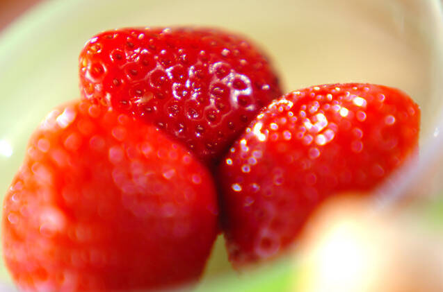 イチゴ