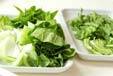 青菜のカラシ和えの作り方の手順1