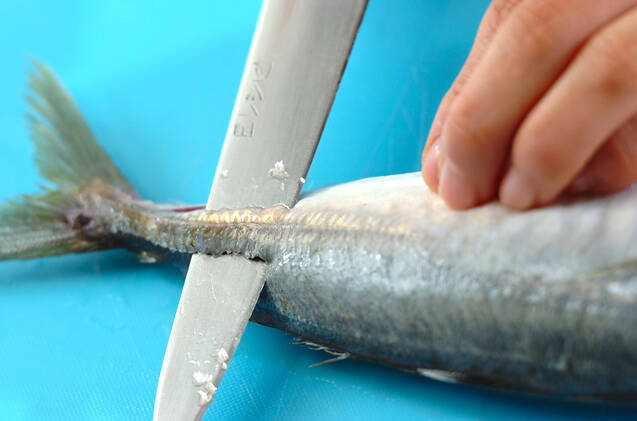 アジの塩焼きの作り方の手順1