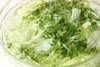 レタスと貝われ菜サラダの作り方の手順1