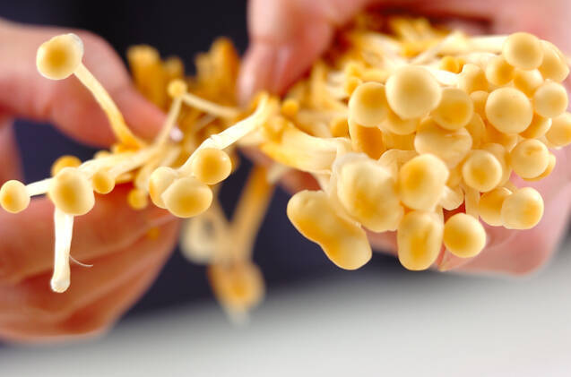 キノコのタリアテッレの作り方の手順1