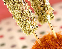 ポンポンバーと仲間たち