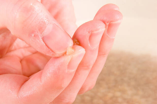 そば米とろろ汁の作り方の手順1