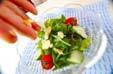 グリーンサラダの作り方の手順6