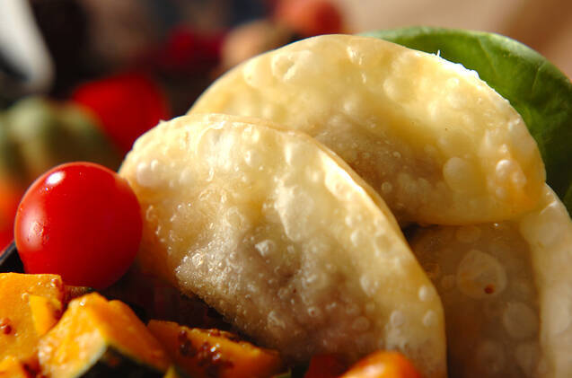 ハンバーグ揚げ餃子